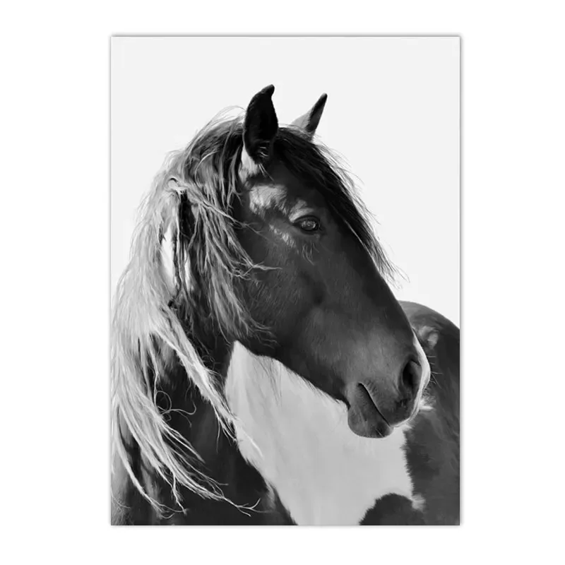 

Черно-белая Лошадь, Холст С Принтом, Пейзаж, Постер С Животными