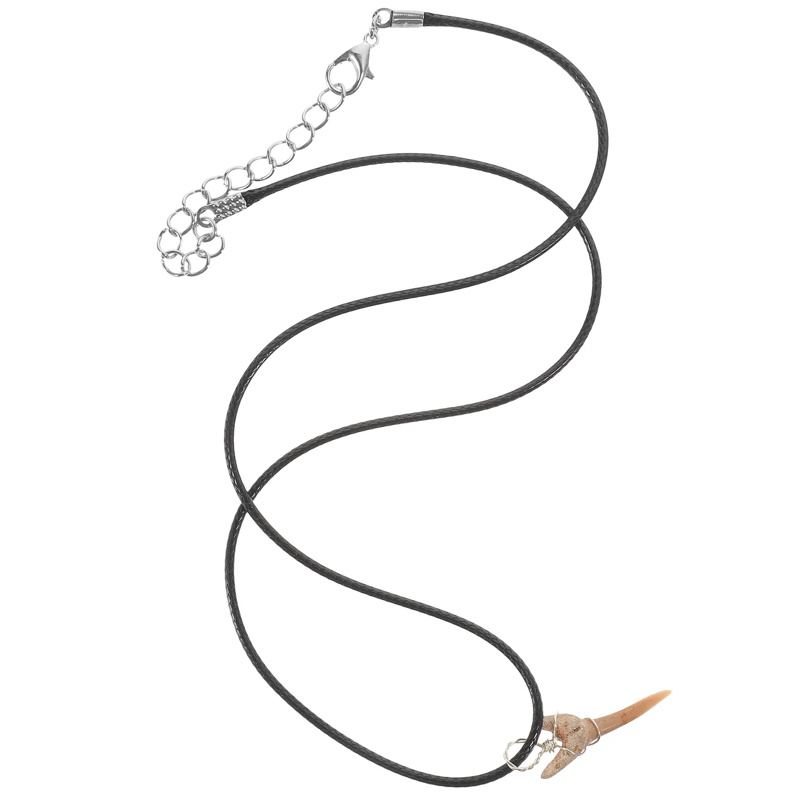 

Shark Tooth Pendant Lockets Sharks Teeth Necklace Men Female Delicate Hanging Stone Women Chain Cool Miss