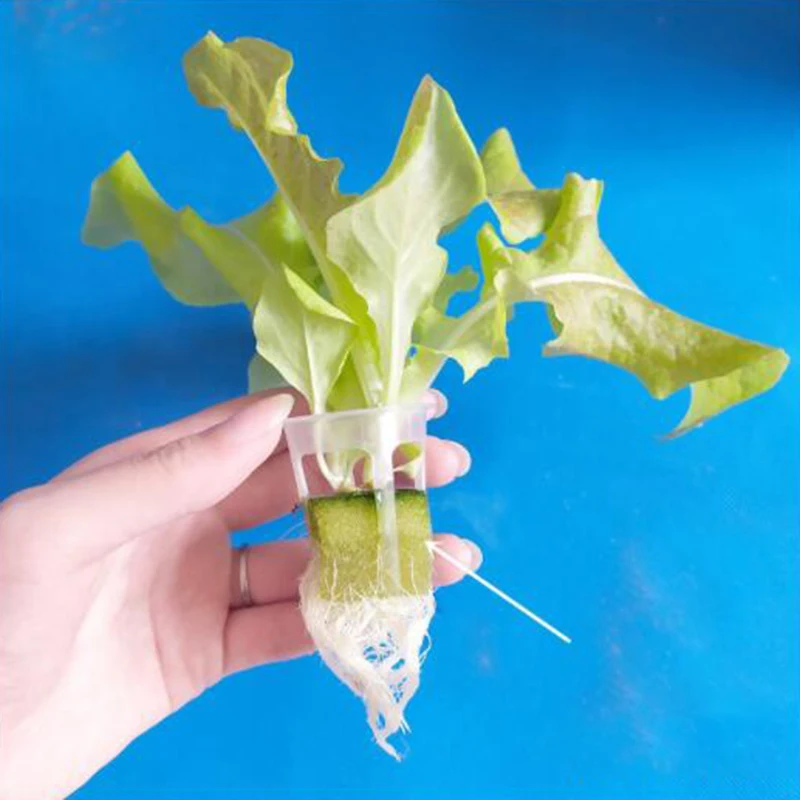32*45mm Hydroponic Colonization Net Nursery Pot 45*55mm Mesh Plant Flower Grow Cup Basket Holder Garden Vegetable Planting Pots |