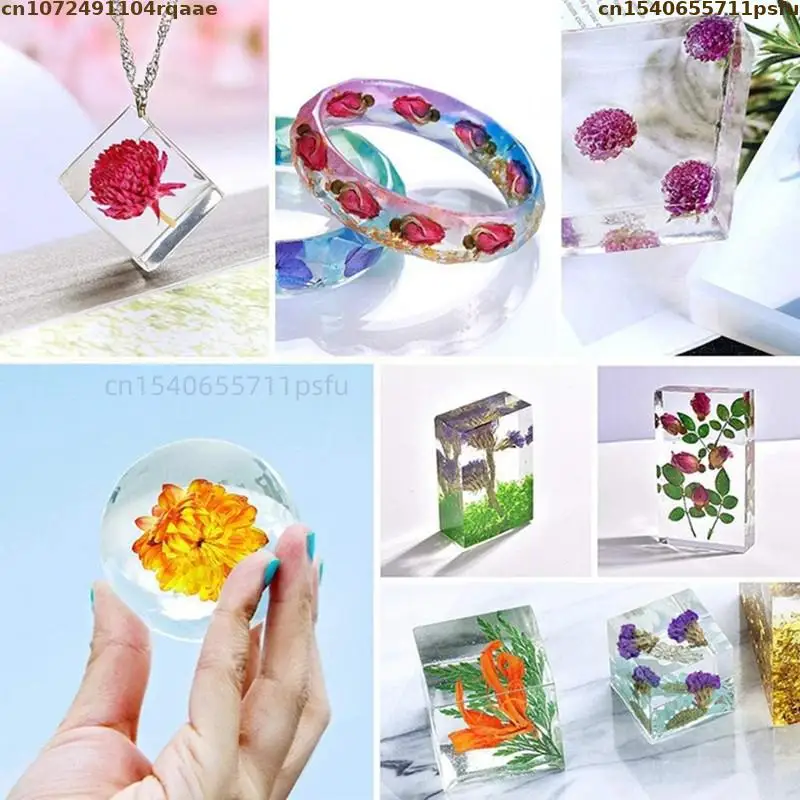 Высококачественный натуральный золотой цветок камелии Petelotii (мермерр.) Сушеные