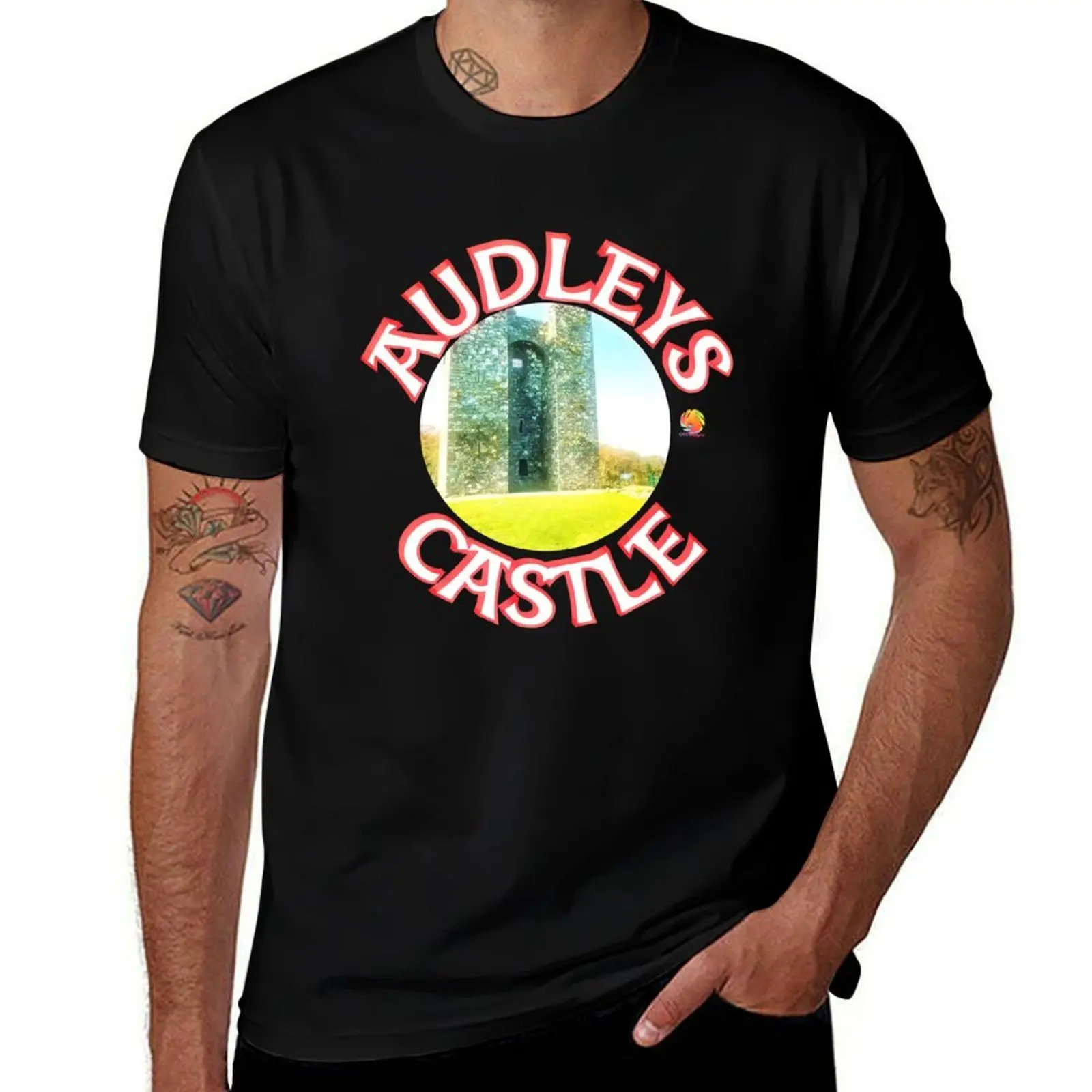 Фото Футболка Audleys Castle, простая повседневная хлопковая футболка с коротким рукавом №1