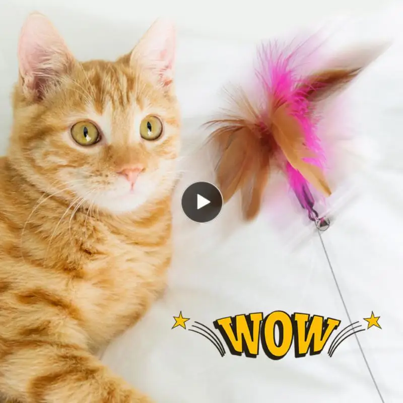 

Cat Fun Stick Pets Collar Self-help Cat Toy For Kittens With Bell Silicone Collar Cats Supplies Hands Free Feather Cats Kitten