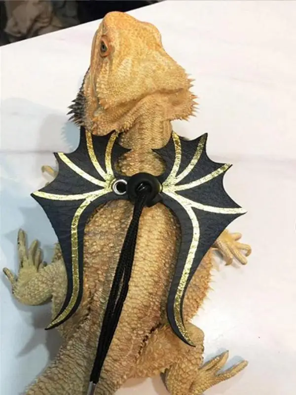 

Регулируемая рептилия, призрачный ремень с подвеской в виде дракона