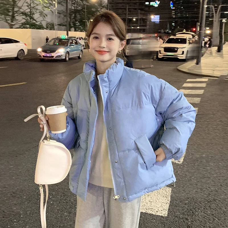 Short Down Coat Women Stand Collar Sweater Coat For Women Winter Thickened Thermal Insulation Design Jacket Female