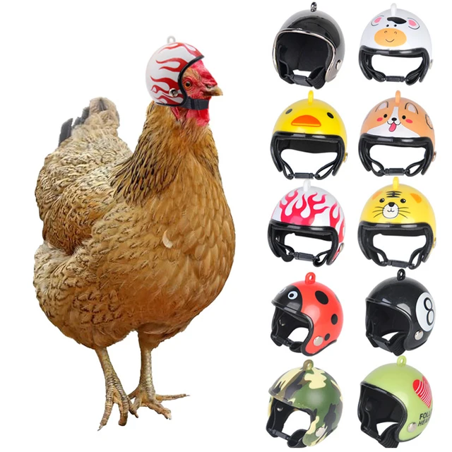 Funny Chicken Helmet Small Bird Duck Quail Hard Hat Headgear Prevent The Chicken From Smash Protect For Hens Head Pet Supplies 1