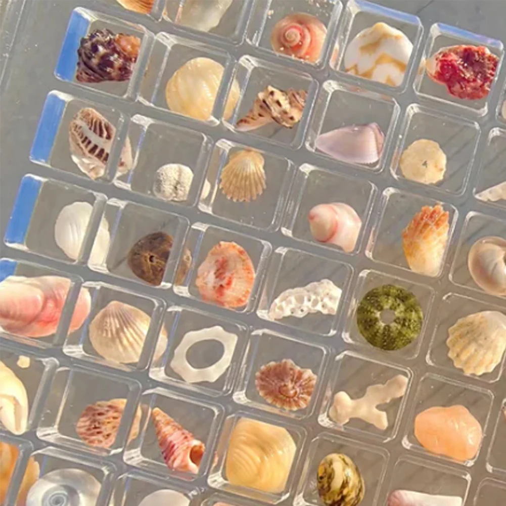 Универсальный Органайзер С Акриловым Магнитным Корпусом Стеллаж Для Выставки