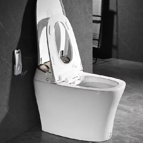 SUNDREAM WC интеллектуальная унитазная туалетная база содержит tandas интеллектуальный