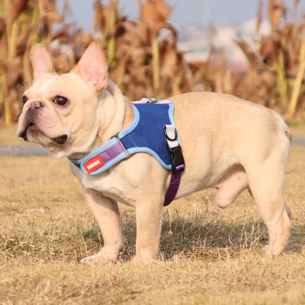 

Светоотражающая шлейка и поводок для собак, Регулируемый жилет для мелких и средних собак, французского бульдога