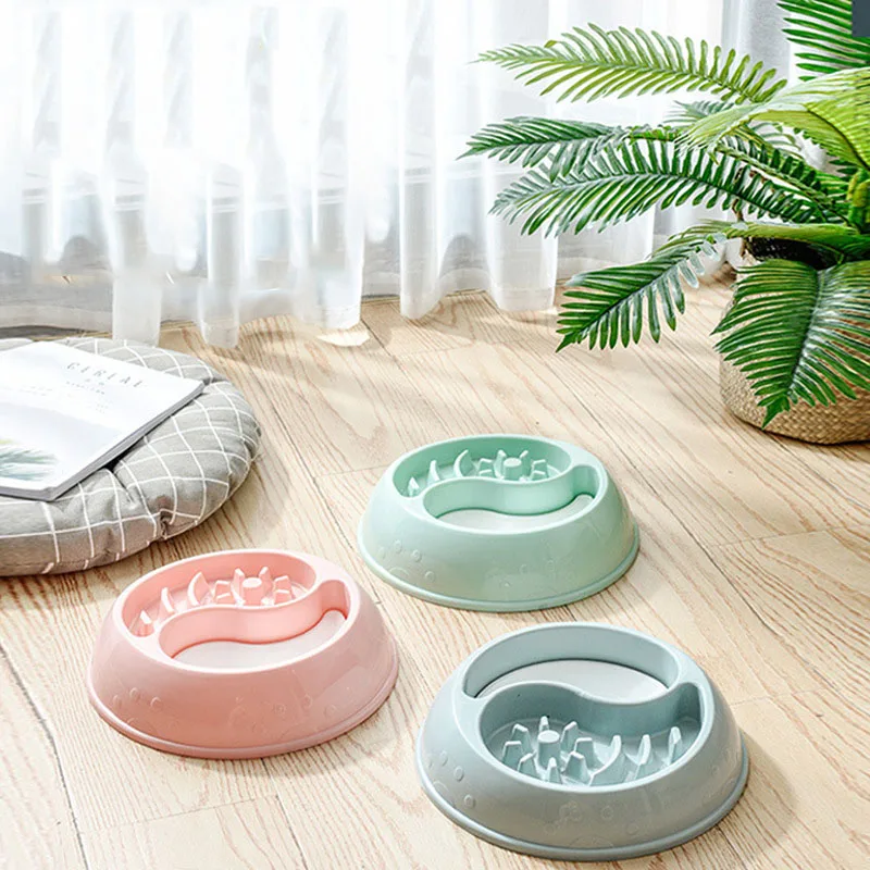 

Pet Bowl Feeder Cat Bowl Dog Bowl Double Bowl Drinking Utensils Anti-Tipping Pet Supplies Pet Accessories Dogs Accessoires