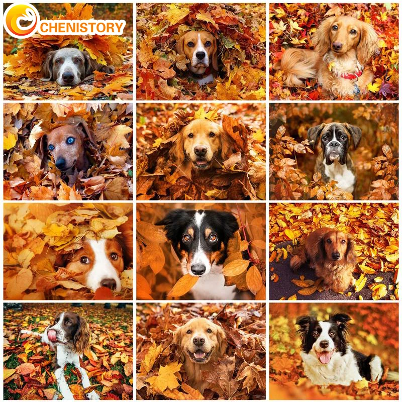

CHENISTORY 60x75cm Oil Painting By Numbers Animal Dog HandPainted Kits Drawing Canvas DIY Crafts Pictures Home Decoration Gift