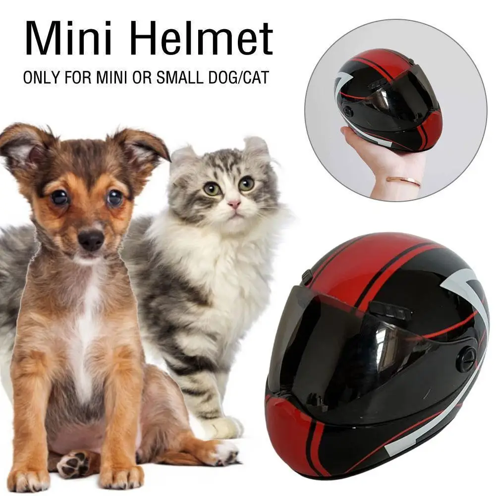 

Small Pet Motorcycle Helmet Cat Dog Puppy Mini Helmets Outdoor Head Protecting Pet Safe Hat Photo Props Pet Accessorie