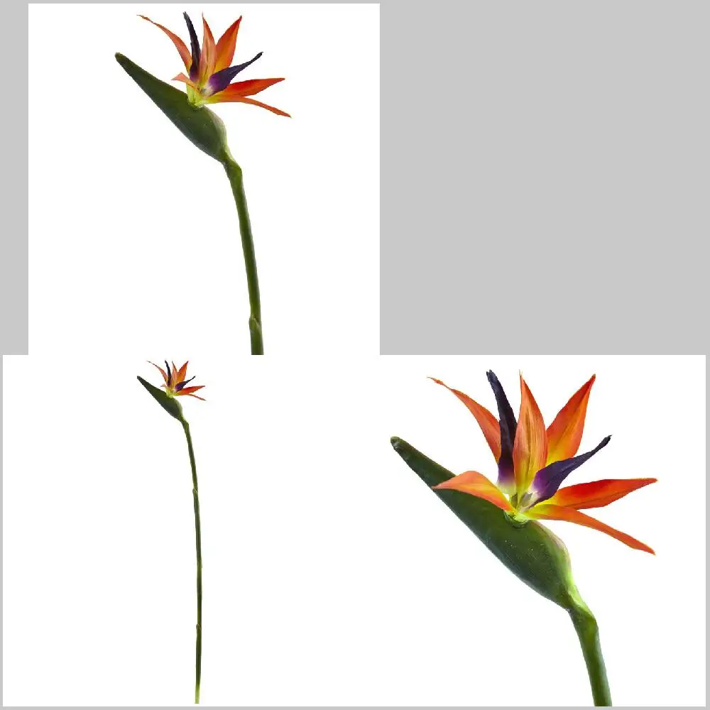 

Set of 4 Orange Artificial Bird of Flower - Colorful, Lovely, Bright and Creative Decorations for Home