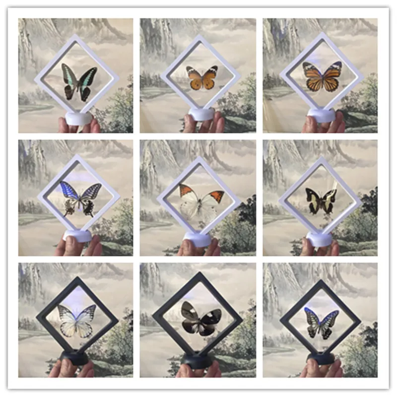 

1pcs Real Butterfly Specimen Insect Home Decor Photo Frame，base Desk Decoration Figurines Birthday Gift Teaching Training &