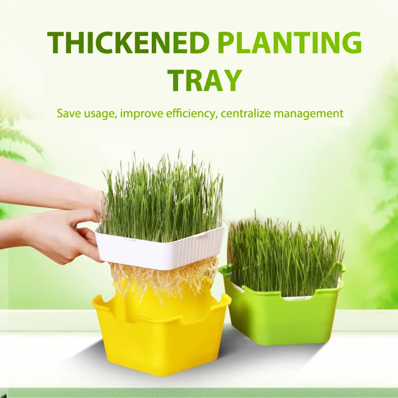 

Pentagonal Plastic Sprout Planting Pot Box Bean Pea Sprouter Seedling Tray Wheat Grass Cat Grass Nursery Growing Germination Kit