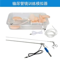 ureteroscopic training simulator ureteroscopic urinary organ model hospital school teaching