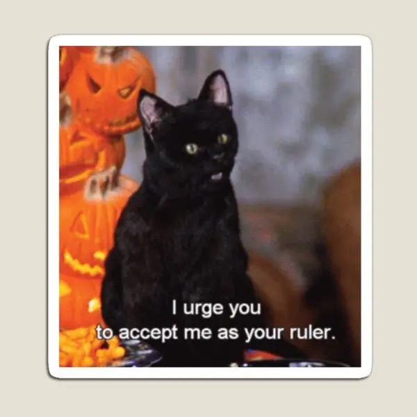 Магнитные наклейки Bow To Salem для холодильника