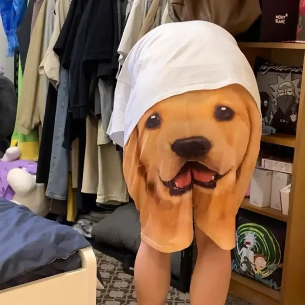 Tiktok Live Funy Брюки Ретривер Хаски с принтом Быстросохнущие шорты Пижамы для косплея
