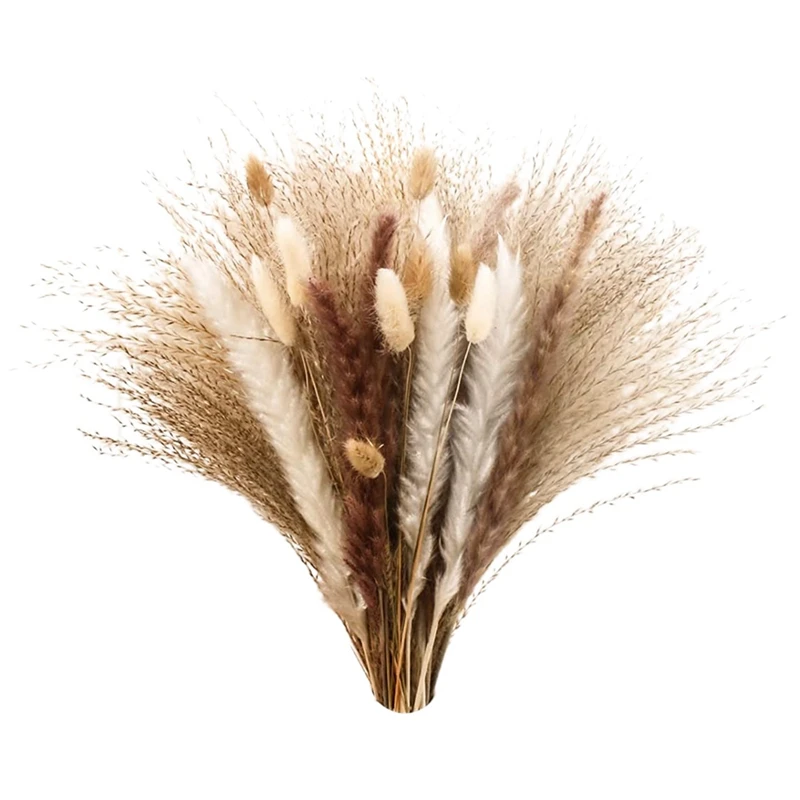 

Natural Dried Pampas Grass Dried Reed Grass Bunny Tail Pampas Grass for Arrangements Wedding Home Boho Decor