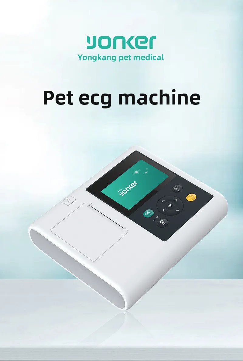 Медицинское оборудование Quantengyiliao: Электрокардиограф для животных PE-VE3B используется для анализа состояния сердца в реальном времени, с автоматической печатью и функцией... (art.: 3920dabc6d8db) - 3920dabc6d8db