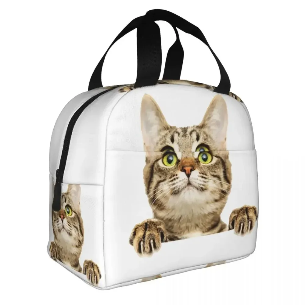 Сумка для обеда с забавным котом женщин и детей портативный термохолодильник