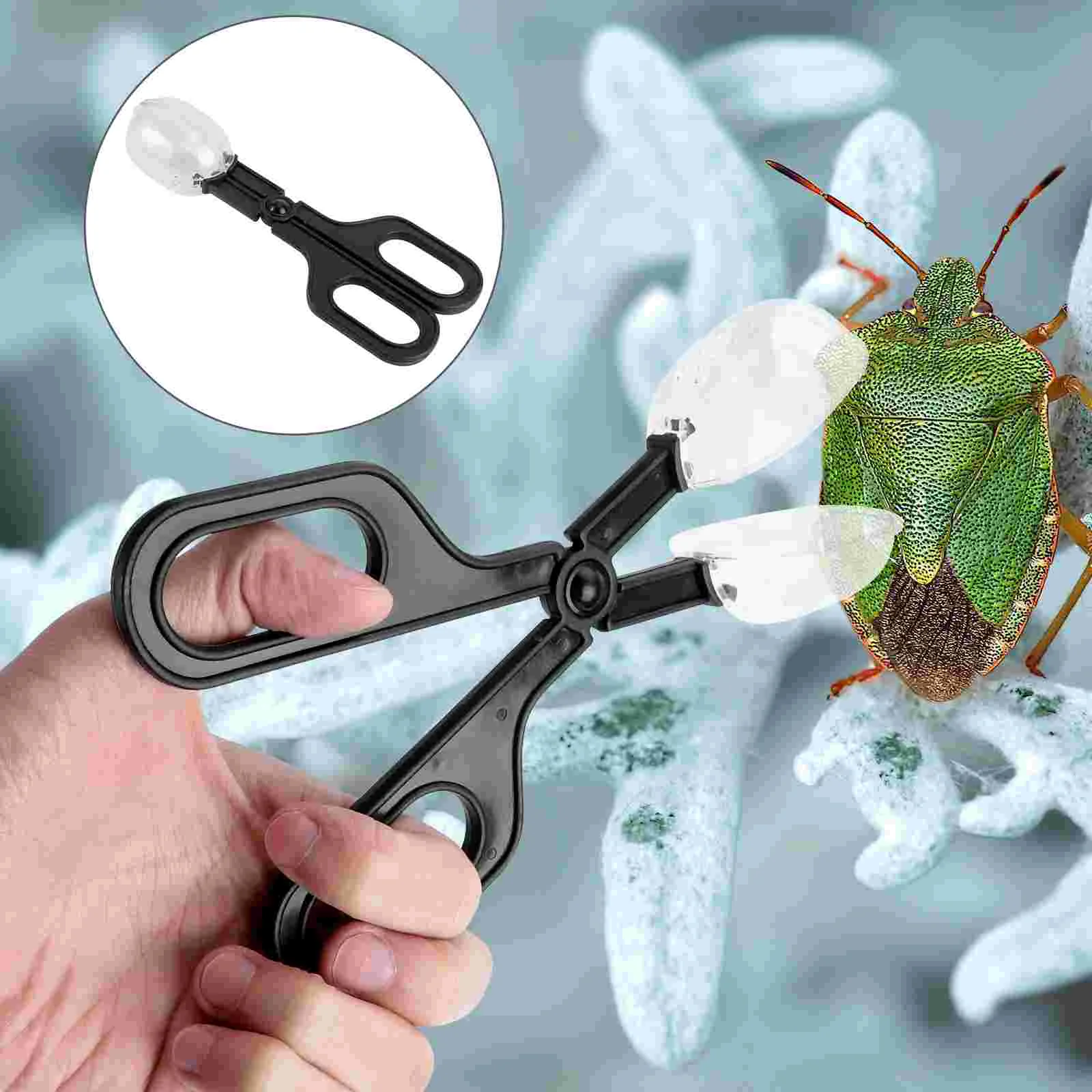 

Reptile Clip Feeding Tongscricket Feeder Cleaning Terrarium Reptiles Forspider Scorpion Live Insect Tool Cage Scoop Pooper
