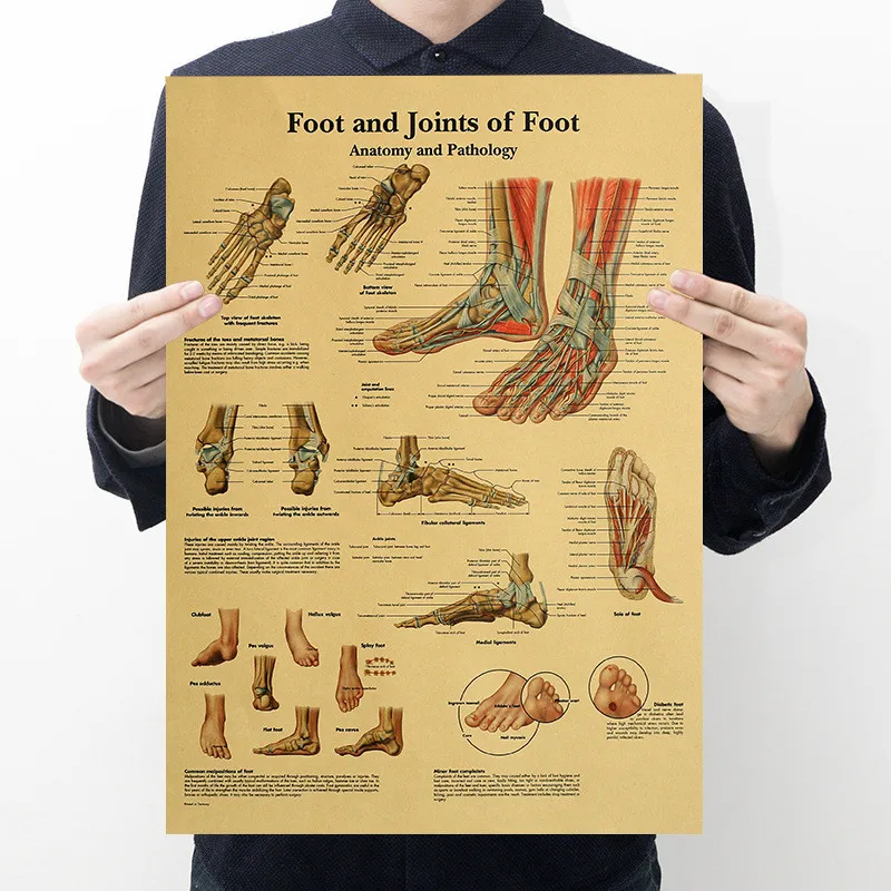 51x35 см каркас тела структура мозга нервный плакат Декор медицинской комнаты