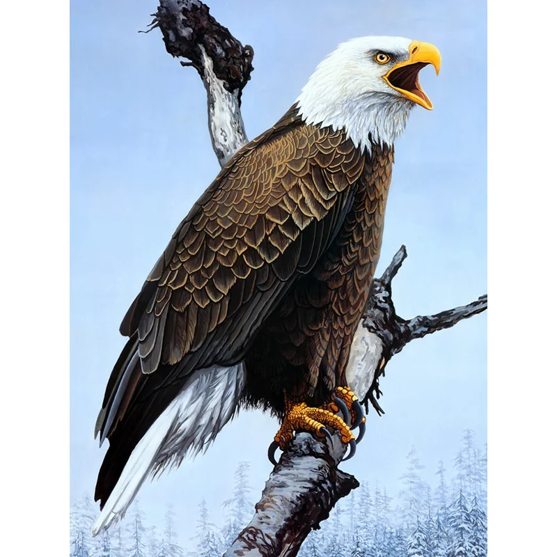 

Full squareRound drill Diamond embroidery Falcon 5D DIY diamond Painting Cross Stitch Rhinestone Mosaic decor D24