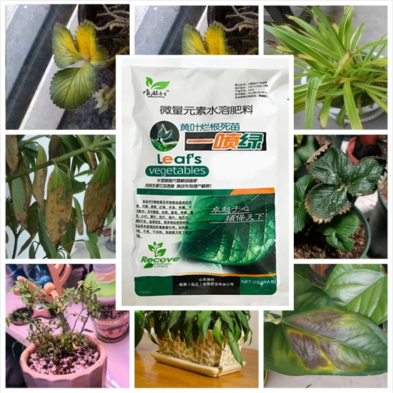 25 г зеленые листья листьев пищевые микроэлементы водорастворимое удобрение