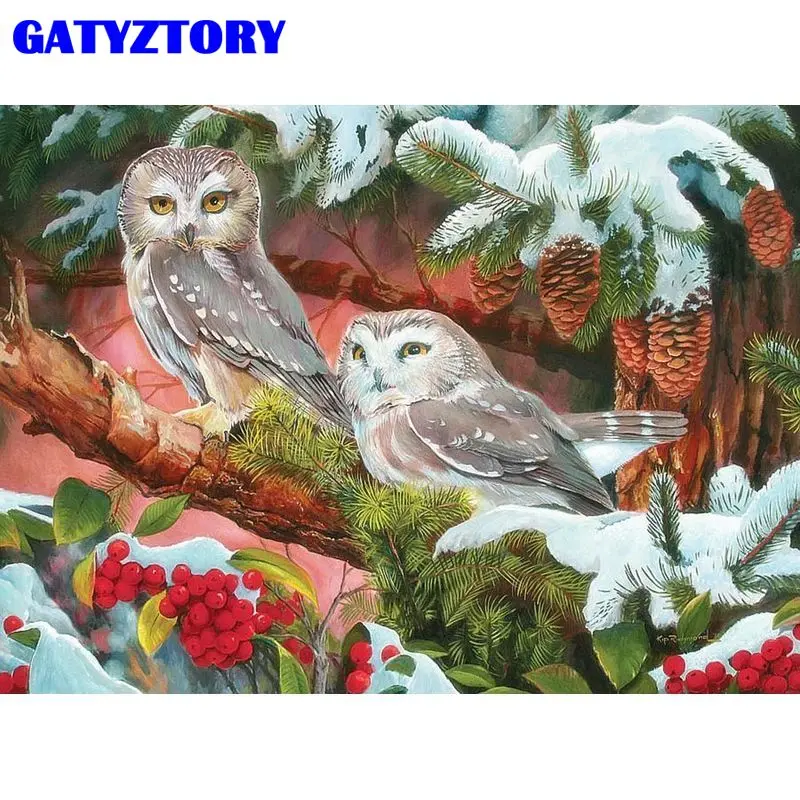 

GATYZTORY Diy Paint By Numbers Owl Drawing On Canvas Handpainted Painting Art Gift Coloring By Number Animal Kits Home Decoratio