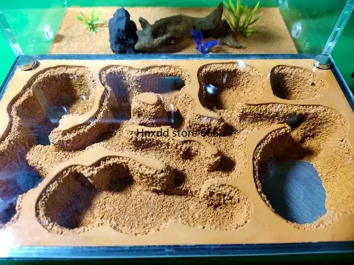 Формикариум для разведения муравьев муравьиная семья гнездо школы научная