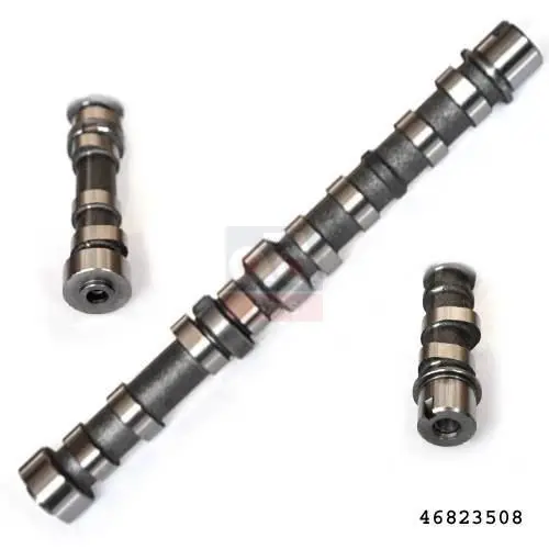 

Store code: 13030 for camshaft suction PALIO-ALB-DBL-ccrs. C 1.3mj 16V
