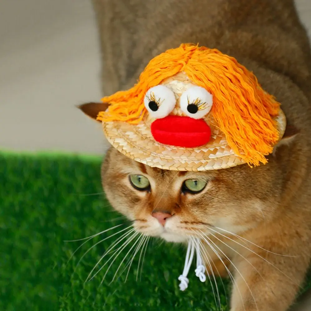 

Hand-woven Dog Dirty Braid Straw Hat Funny Adjustable Dog Wig Straw Hat Puppy Headdress Photography