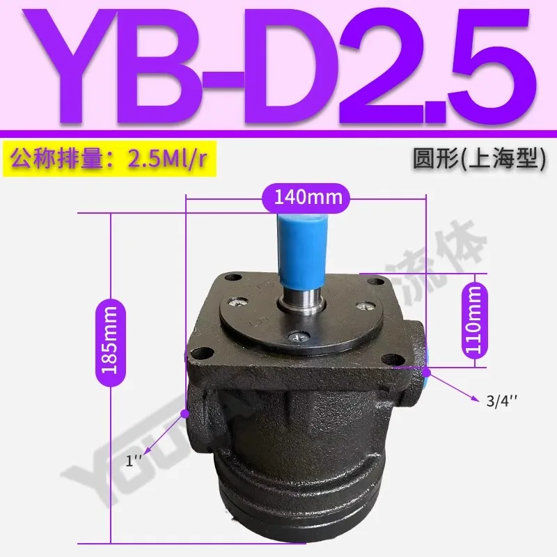 Фото YB-D6.3 Лопастной насос D4 D2.5D10 D12 D16 D20 D25 D32 D40 YBD50 63 80 100 №5