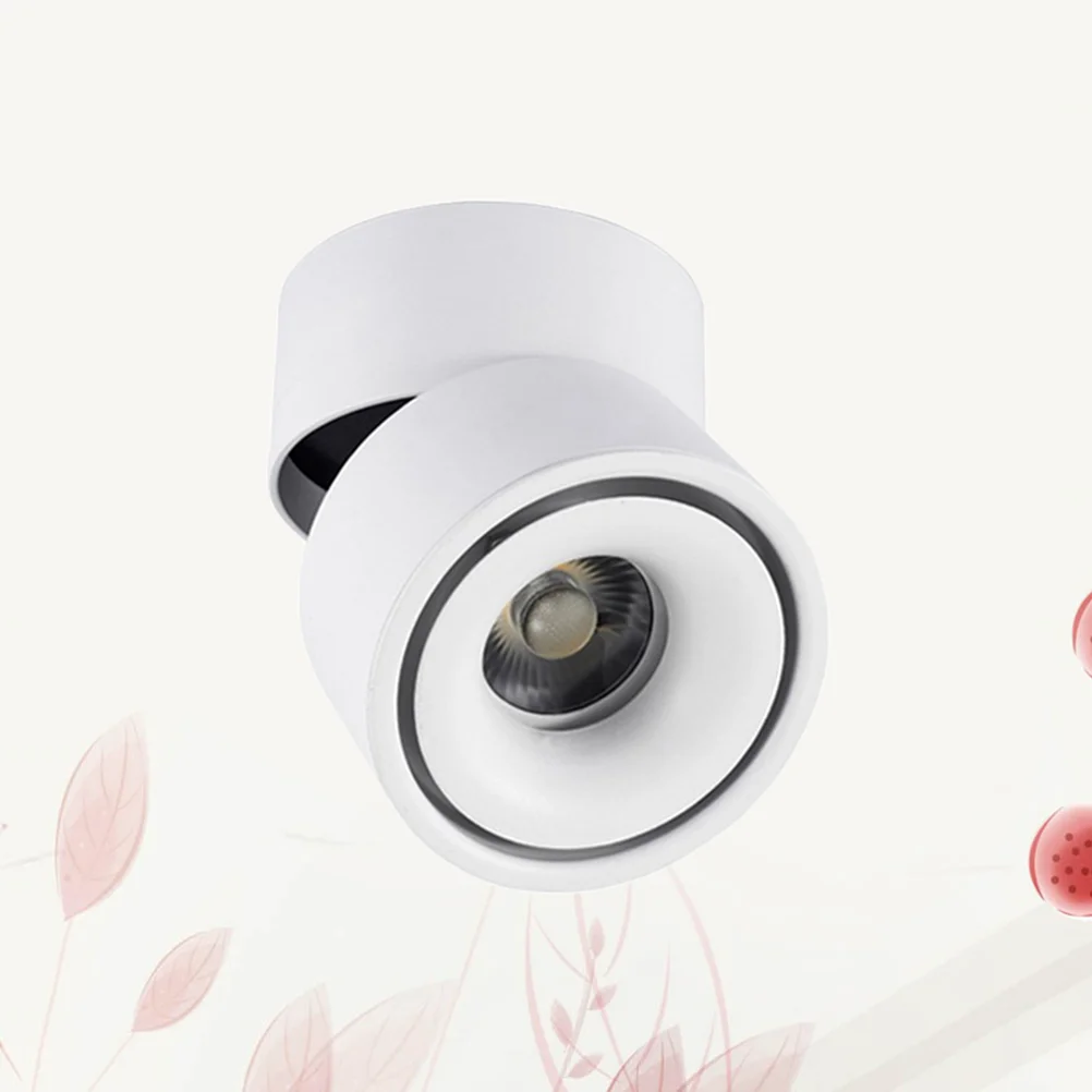 Внутренний регулируемый потолочный светильник 220 В 10 Вт 360 °