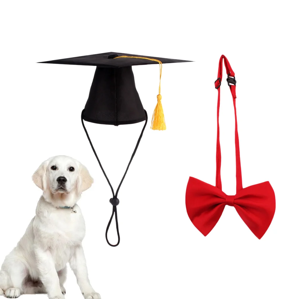 

Hat Puppy Party Outfit Puppy Outfits Cat Graduation Cap Red Zip Ties Graduation Cap Hat Bow Tie