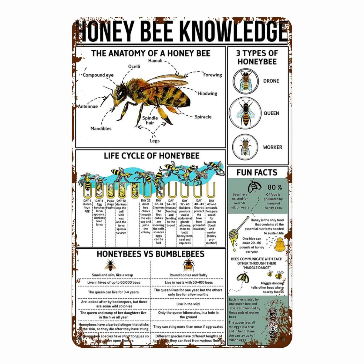 

LingAeg Vintage Metal Tin Signs Honey Bee Knowledge Metal Sign Home Decor Study Guide For Beekeeper Poster Farm Room 8X12in