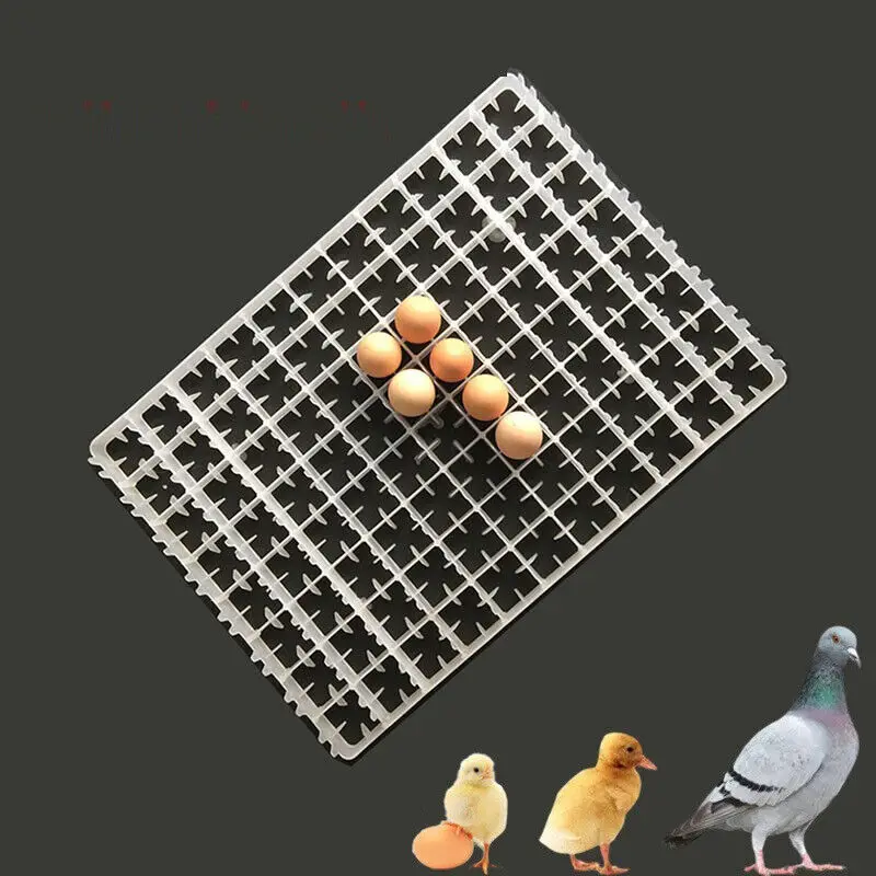 

10 Pcs 221 Quail Egg Tray Incubator Tray Agricultural Equipment Plastic Egg Incubator Accessories Hatching Supplies