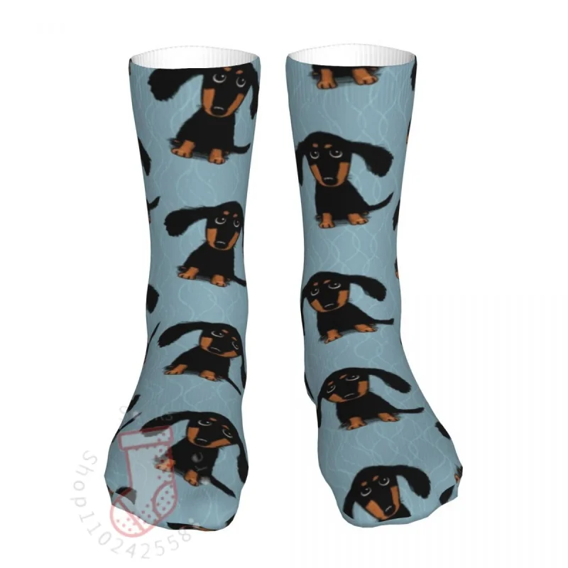

Носки Longhaired Dashund щенок, мужские женские мужские повседневные носки с животными в стиле Харадзюку, длинные чулки на все год, подарок