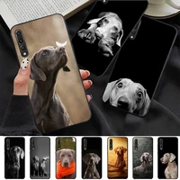 yndfcnb weimaraner dog phone case for redmi 8 9 9a for samsung j5 j6 note9 for huawei nova3e mate20lite cover