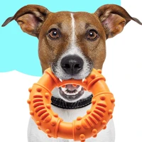 dog toys medium and large bite resistant training molar fidget toy tpr teeth cleaning pet accessories perros dla psa cachorro