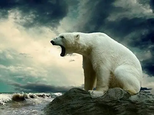 

Полярный медведь, арктическое море, животные, шторм, настенный печатный плакат, жестяной знак