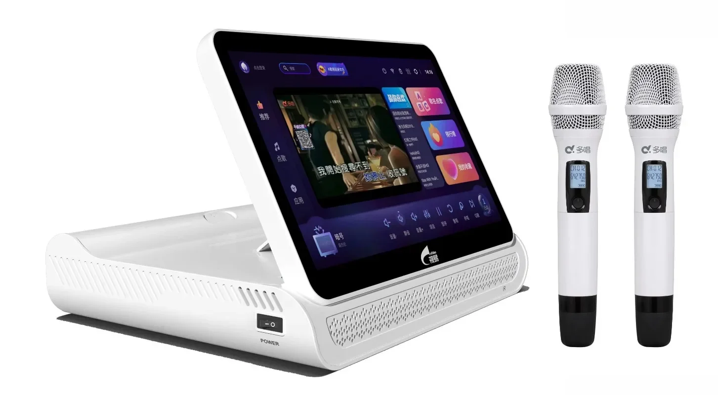 Профессиональный караоке-плеер Berase Hifi сенсорный экран 600 Вт * 2 13 3 дюйма 6 в 1