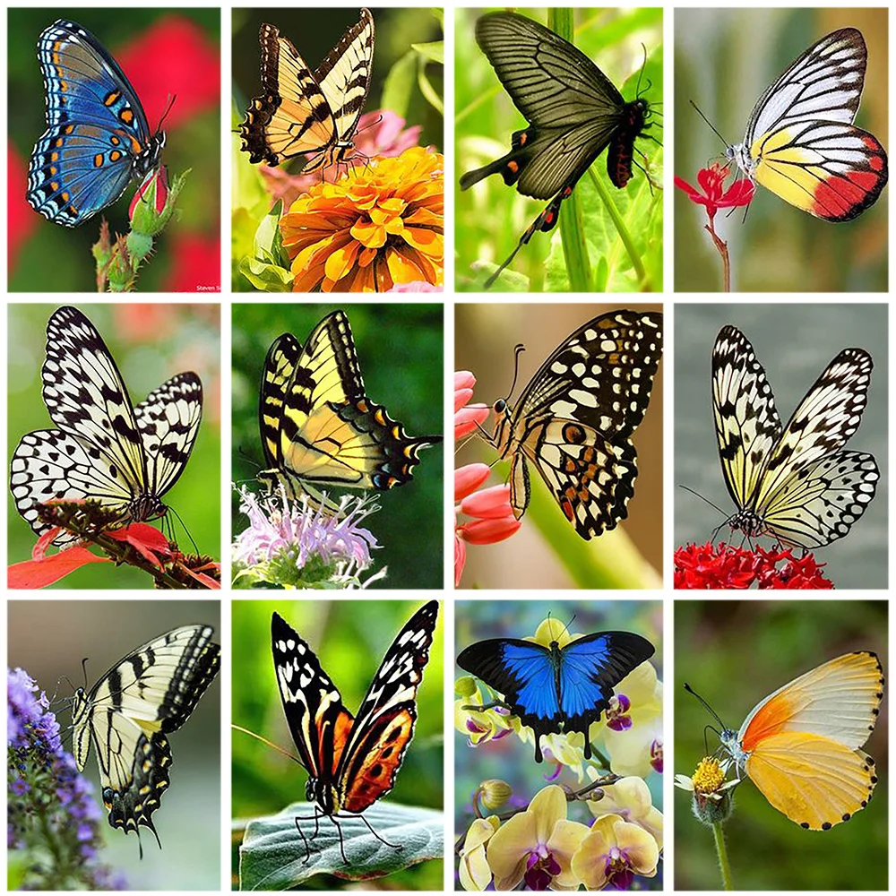 

Butterfly Pattern 5D DIY Diamond Painting Cross Ctitch Kits Diamond Art Crystal Mosaic Embroidery Painting New Year Gift