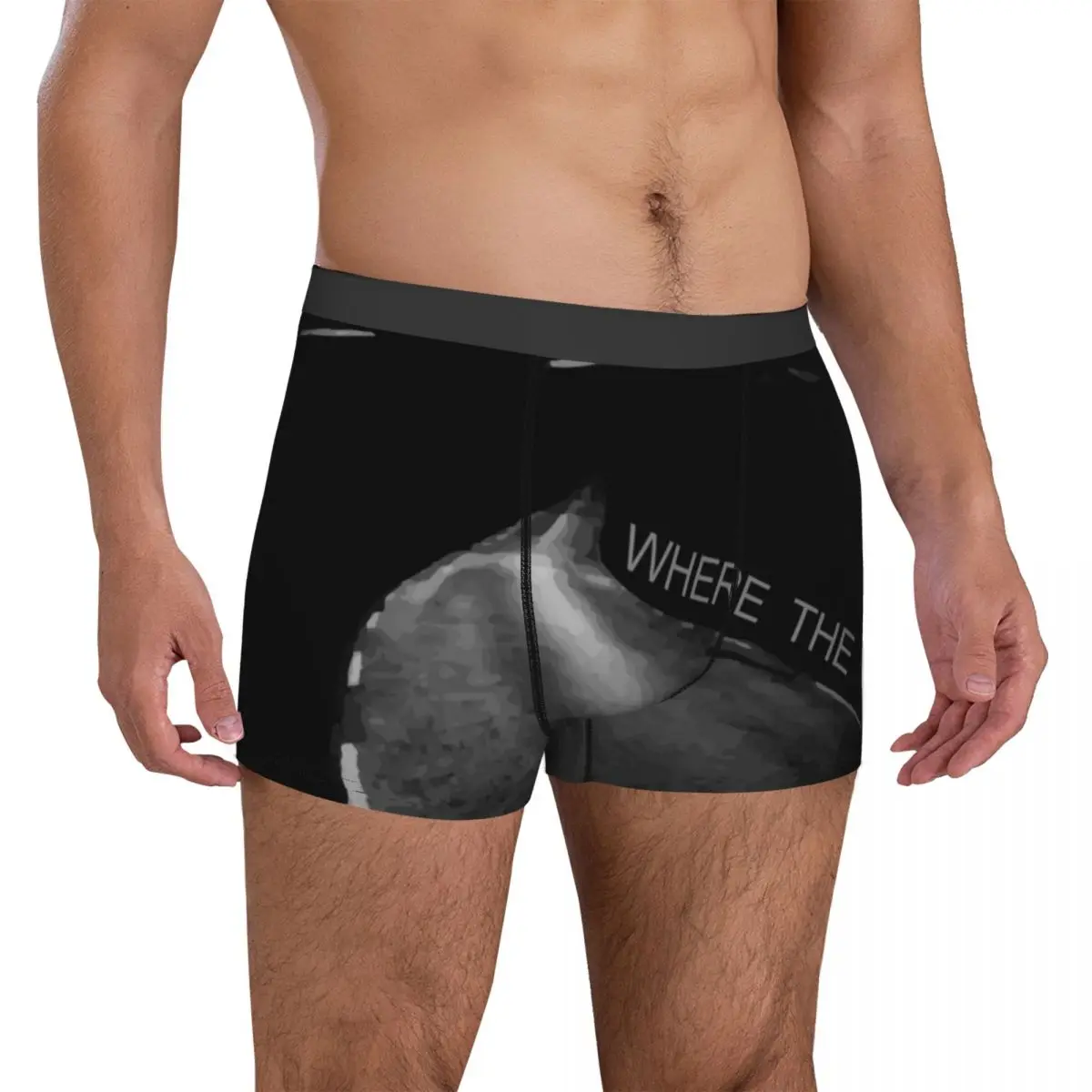 

U2 Underwear Where the Road have no name Male Underpants Custom Soft Trunk Trenky Boxer Brief Plus Size 2XL