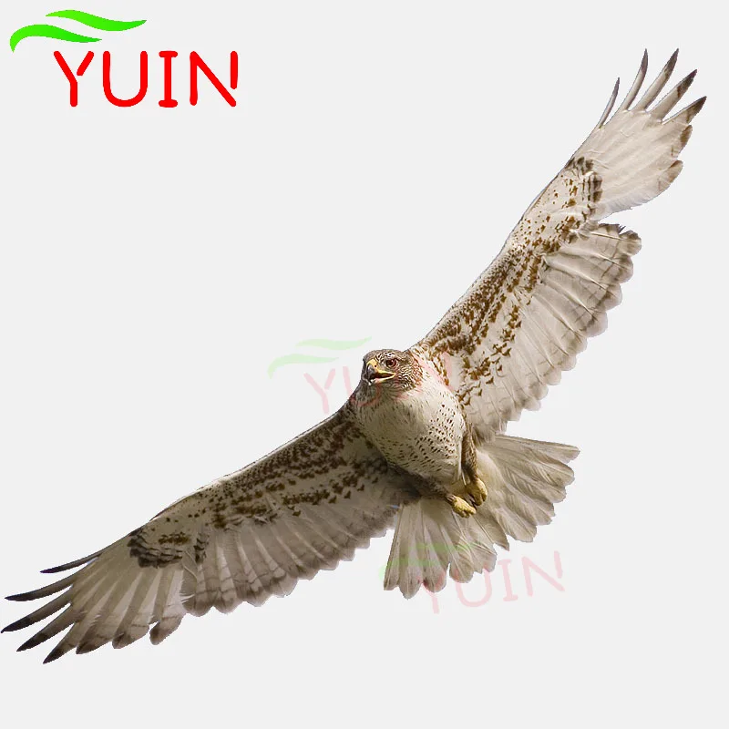 

High Quality Animals Birds Eagle Car Sticker Motorcycle Cars Accessories Personalized PVC Decorative Waterproof Decal 17*6cm