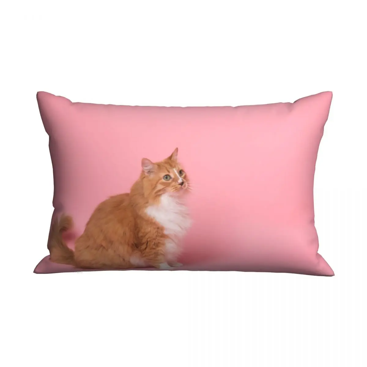 

Cat Animal Cat Lover Pillowcase Polyester Cushion Cover Gift Throw Pillow Case Cover for Sofa Double-sided Printed