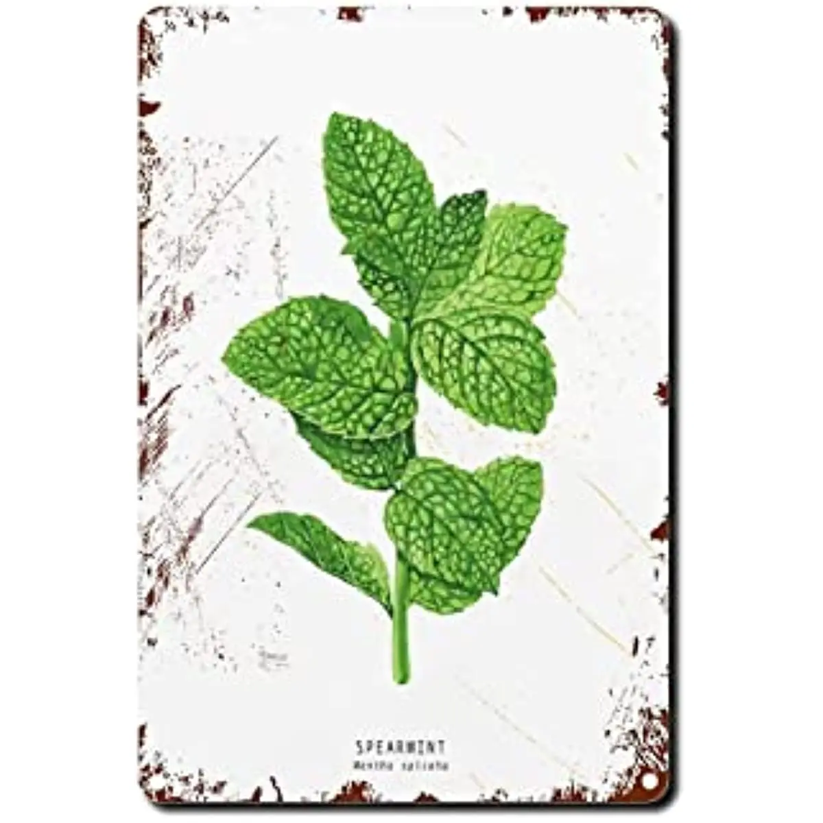 

Tin Sign Spearmint Herbs Kitchen Decoration Herbs Home School Education Wall Art Vintage Metal Tin Sign Home Office Wall Art
