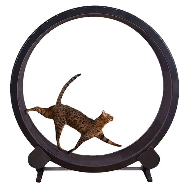 валберис беговое колесо для кошек. беговое кольцо для кошек. колесо для кошек (беговая дорожка). беговая дорожка для кошек. беговой тренажер для кошек.