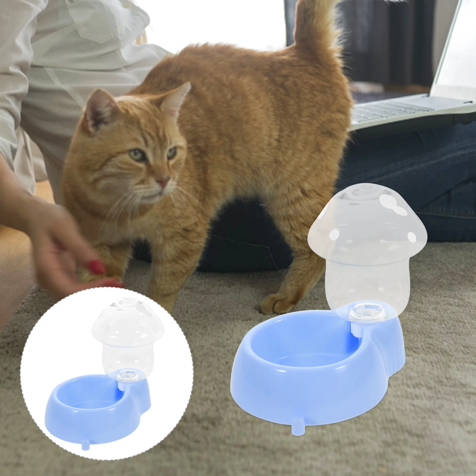 

Drinking Fountain Pet Feeder Small Dog Water Bowl Cat Gravity Pp Automatic Dispenser Cats