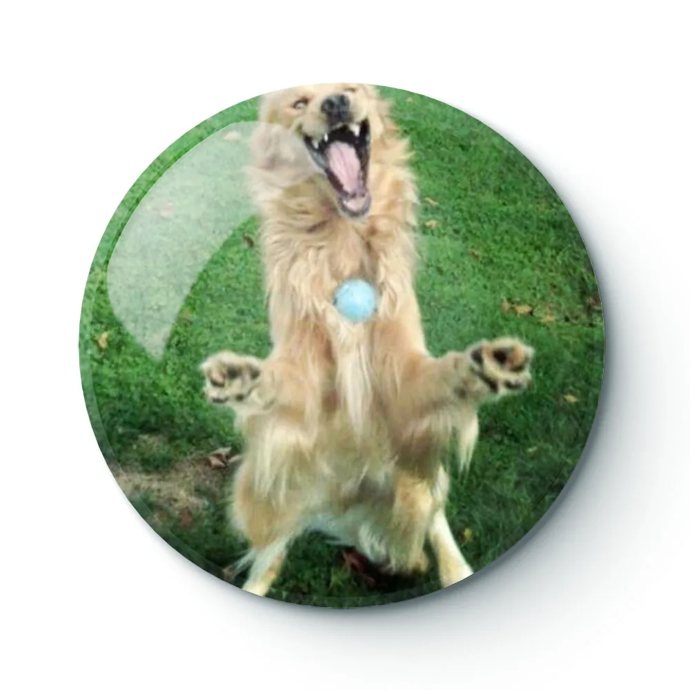 

DOG MEME 064 Buttons Brooches Pin Jewelry Accessory Customize Brooch Fashion Lapel Badges